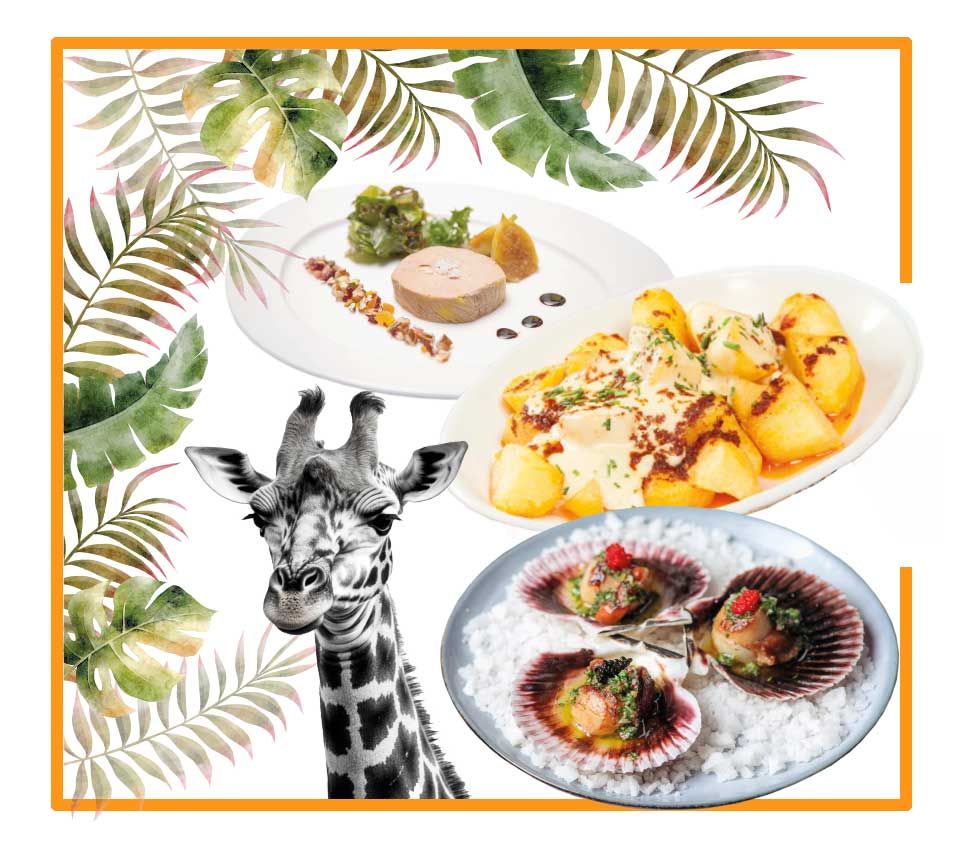 comida a domicilio, comida para llevar bares y restaurantes